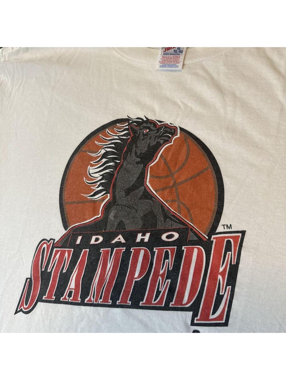 VTG Idaho Stampede Minor League Basketball Team T-Shirt